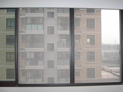 L'insecte d'acier inoxydable est employé comme écran de fenêtre pour résister à des moustiques et à des mouches.