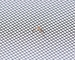 maille protectrice d'écran de mouche d'écran de fenêtre d'insecte d'écran de porte de fenêtre de grillage d'acier inoxydable