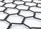 Fil hexagonal Mesh Net Black Color de matériel de polyester d'animal familier de 100%