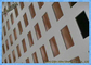 Les trous carrés perforent la façade de panneau en métal de solides plaques de SS Excellente visibilité