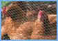 Maille résistante enduite de fabrication d&amp;#39;acier inoxydable de fil de poulet de PVC pour des fermes