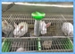 Grillage soudé clôturant des couches de la cage de batterie de lapin de panneaux 3 ou 4