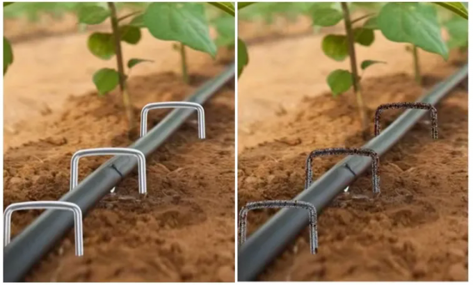 Réseau d'insectes fixation du gazon fixation des grappes SOD clés en acier galvanisé clou de jardin 0
