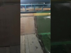 Le PVC a galvanisé le grillage hexagonal de poulet de diamètre de 0.6mm ouverture de 3/4 pouces