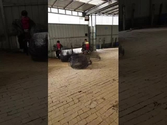 Boule de racine anneale noire panier de fil pour arbres ou plantes