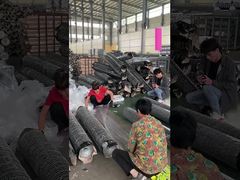 Réseau de fil métallique de 20 Ga vert décoratif en PVC revêtu de filet hexagonal