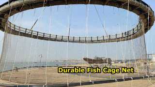 Filet de pêche PET pour cages à poissons