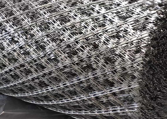 Barbelé en accordéon Mesh Fence de rasoir de la haute sécurité Cbt-60 Cbt-65