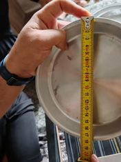Aluminum Grade  1100 Thickness About 0.40 Mm Pizza Pans 18 Cm/26 Cm/30 Cm/33 Cm