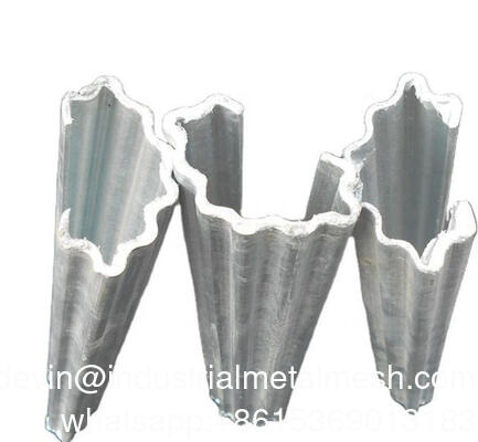 Tuteur en métal galvanisé pour vigne de fruit du dragon, piquet de vigne pour verger