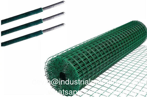 Maillage en fil galvanisé soudé revêtu de PVC pour la protection des plantes