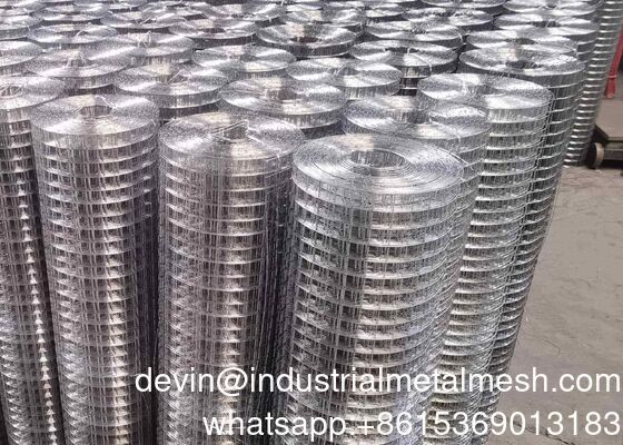 Wholesale Small Hole 1/2 2X2 Galvanized Welded Wire Mesh Price