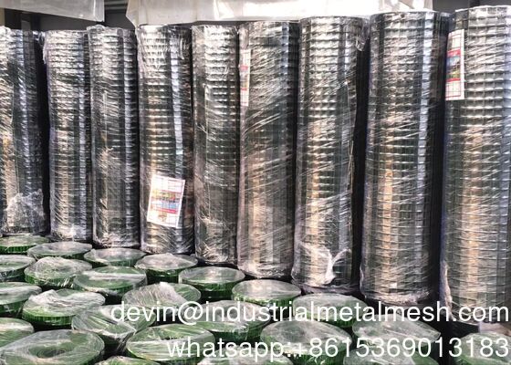 Grillage soudé galvanisé à chaud/acier inoxydable/fil noir