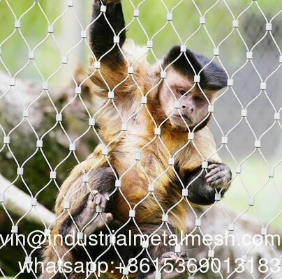 Woven Diamond Wire Rope Mesh for Zoo Fencing