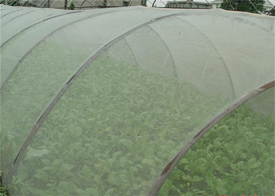 Durable 5 ans d'utilisation Résistant aux insectes Réseau 20x10 Réseau anti pucerons Serre de culture