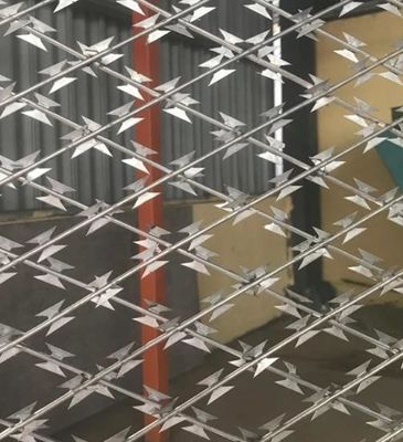 Barbelé en accordéon Mesh Fence High Security de rasoir de Cbt-60 Cbt-65
