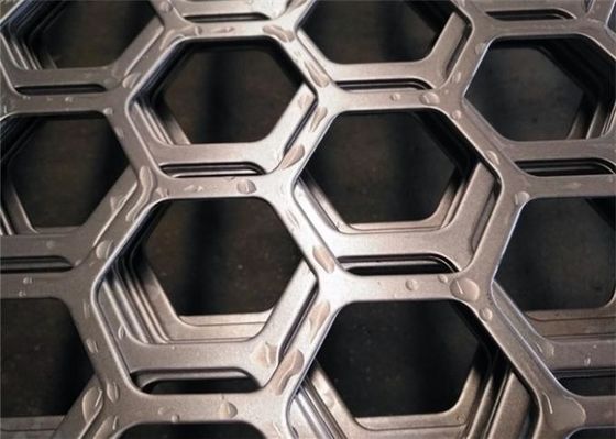 Plaque métallique perforée hexagonale en acier inoxydable de qualité duplex