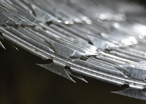 Fil barbelé galvanisé Garde de sécurité Fil d'acier inoxydable Fil de rasoir