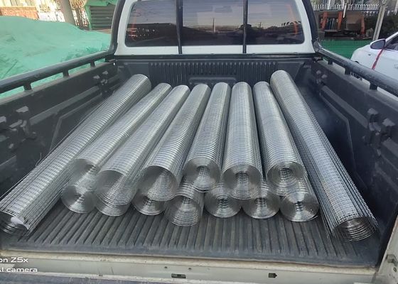 construction de 3mm grillage soudé 1/4 x 1/4 par pouce