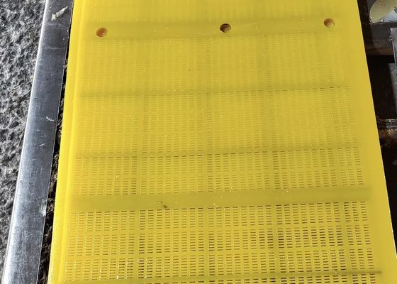 L'écran épais fin de polyuréthane de tamis Flip Flop 30mm lambrisse le tapis