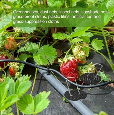 La chaleur est appliquée sur le gazon de jardin galvanisé de type U