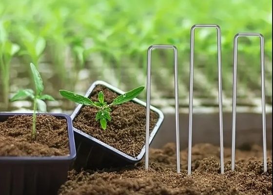 Réseau d'insectes fixation du gazon fixation des grappes SOD clés en acier galvanisé clou de jardin