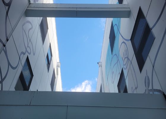 Anti câble métallique 316 d'acier inoxydable de corrosion de balustrade Mesh For Protection And Safety