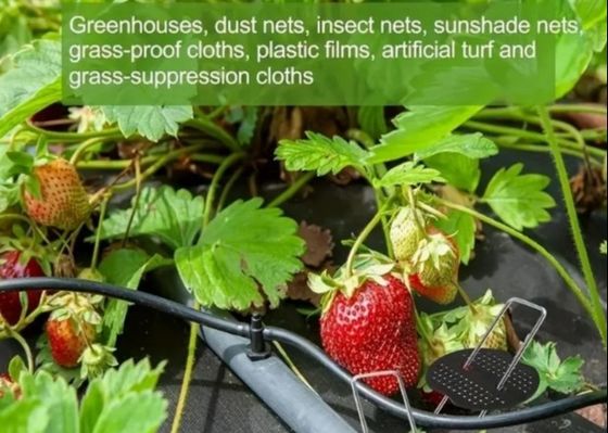 La chaleur est appliquée sur le gazon de jardin galvanisé de type U