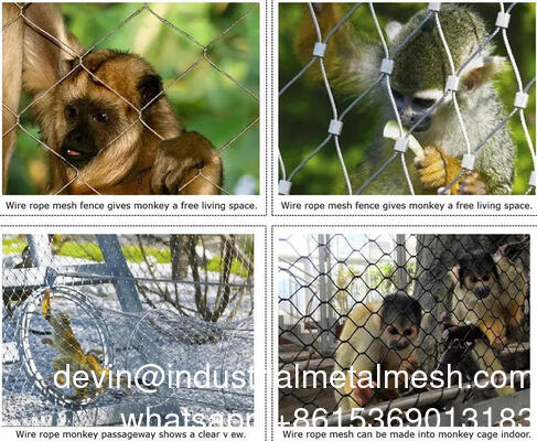 Diamètre de fil de 2 mm Diamant flexible 304 316 câble en acier inoxydable Ferrule fil de fer