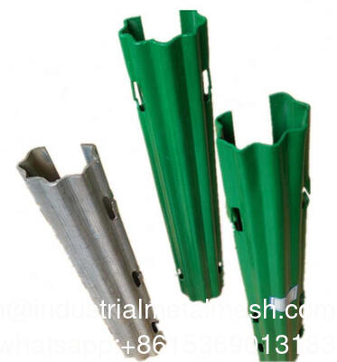 Tuteur en métal galvanisé pour vigne de fruit du dragon, piquet de vigne pour verger