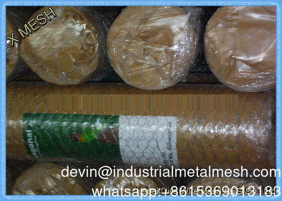 3/4" Maillage hexagonal Maillage de fil de fer galvanisé à chaud fil de poulet