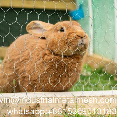 Clôture de jardin en grillage hexagonal à ouverture de 4 pouces