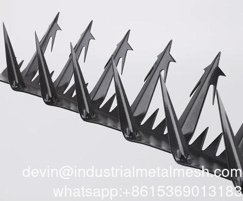 Grandes pointes murales en acier inoxydable pour pigeons de 5m