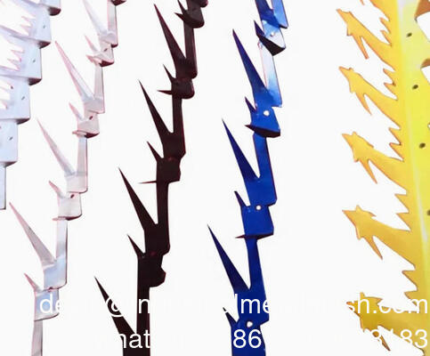 Grandes pointes murales en acier inoxydable pour pigeons de 5m