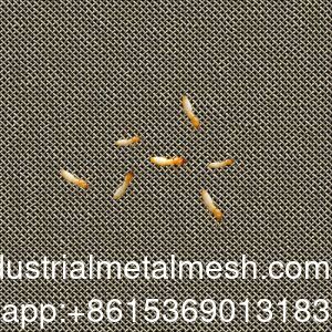 AISI 304 316 316L Écran de treillis métallique en acier inoxydable antitermites