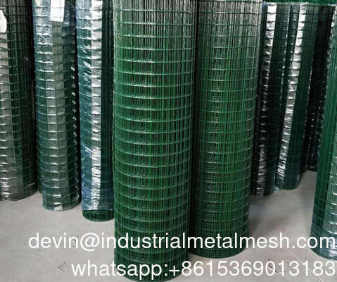 Maillage en fil galvanisé soudé revêtu de PVC pour la protection des plantes