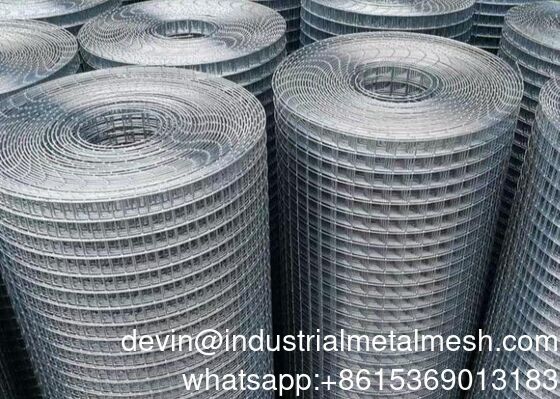 Coil de treillis métalliques galvanisés soudés de haute qualité et à bas prix pour les poulaillers en élevage