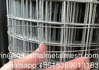 24 pouces X 100 pieds toile métallique 1/2 pouce 19 gauge galvanisé soudé clôture de jardin rouleau maille carrée