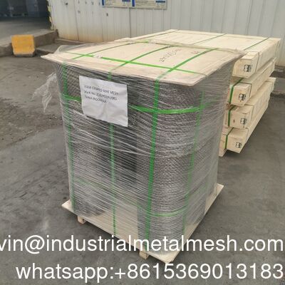 10 20 30 Microns 304 316 Filtre en acier inoxydable Filtre à fil de tamis Mécanique de tissage simple Soudure à l'écran Perçage de coupe de pliage