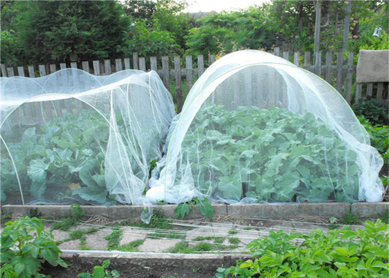 Horticulture Hdpe Maillage de moustiquaires Agriculture Réseau anti-insectes 40 Maillage