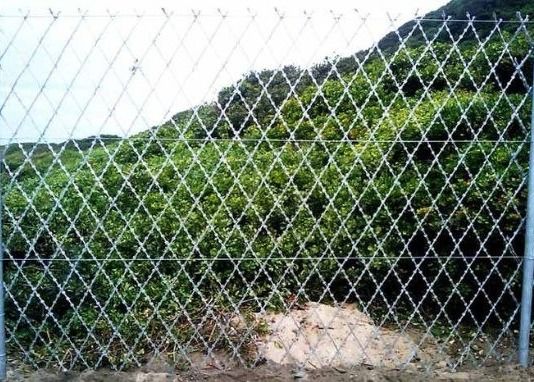 3 "X6" "IN "Aperture" soudé "Razor Ribbon Mesh" fait de panneau de clôture en fil de fer galvanisé