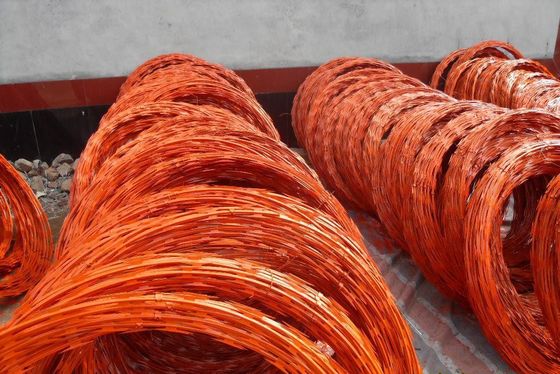 Rasoir peint électro, fil concertina CBT65, militaire