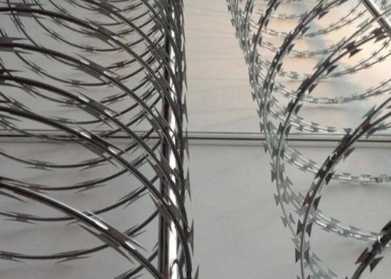 Fil en accordéon de rasoir d'anti de montée de sécurité d'acier inoxydable prison barbelée de lame