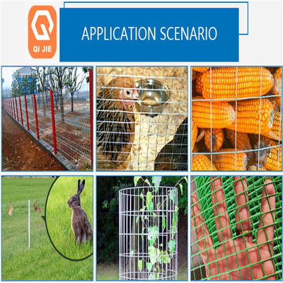 La cage à oiseaux galvanisée soudée par électro a soudé le fil Mesh Multifunctional de fer