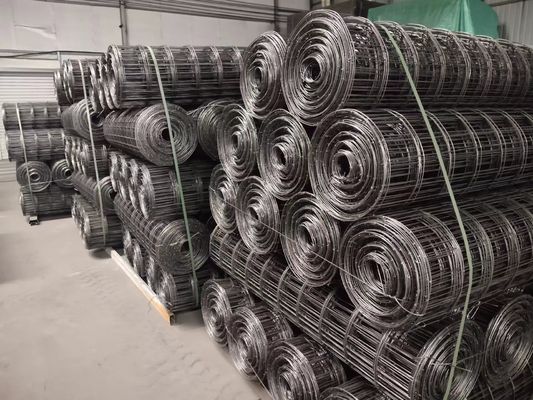 Acier perforé de renforcement de faisceau de béton de couleur noire