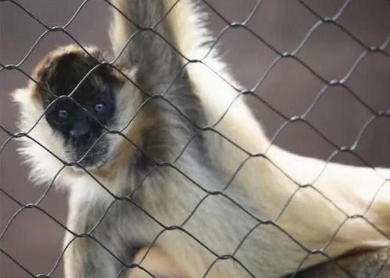 Filet de câble en acier inoxydable Ss 304 Ss 316 Filet de câble en acier inoxydable à virole en vente