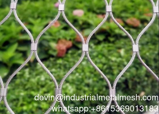 Réseau d'aviaries à haute tension X-Tend Réseau de zoo de perroquets