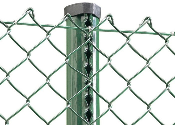 Le PVC galvanisé a enduit le petit pain de Diamond Mesh Wire Chain Link Fence