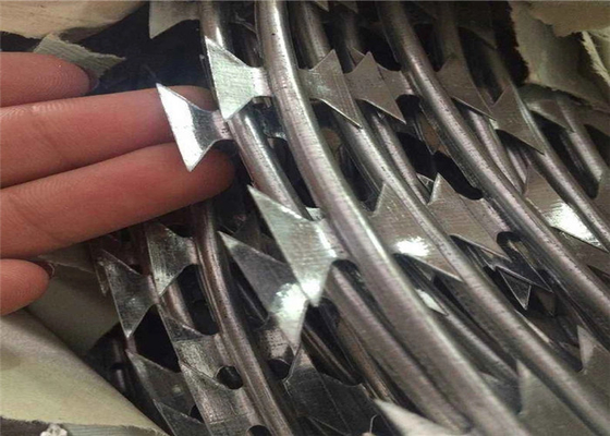 Barbelé en accordéon Mesh Fence de rasoir de la haute sécurité Cbt-60 Cbt-65