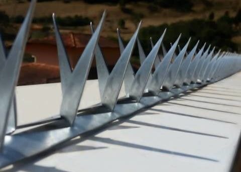 Barrière Wall Spikes de Barb L64mm Barb Thickness 0.8mm